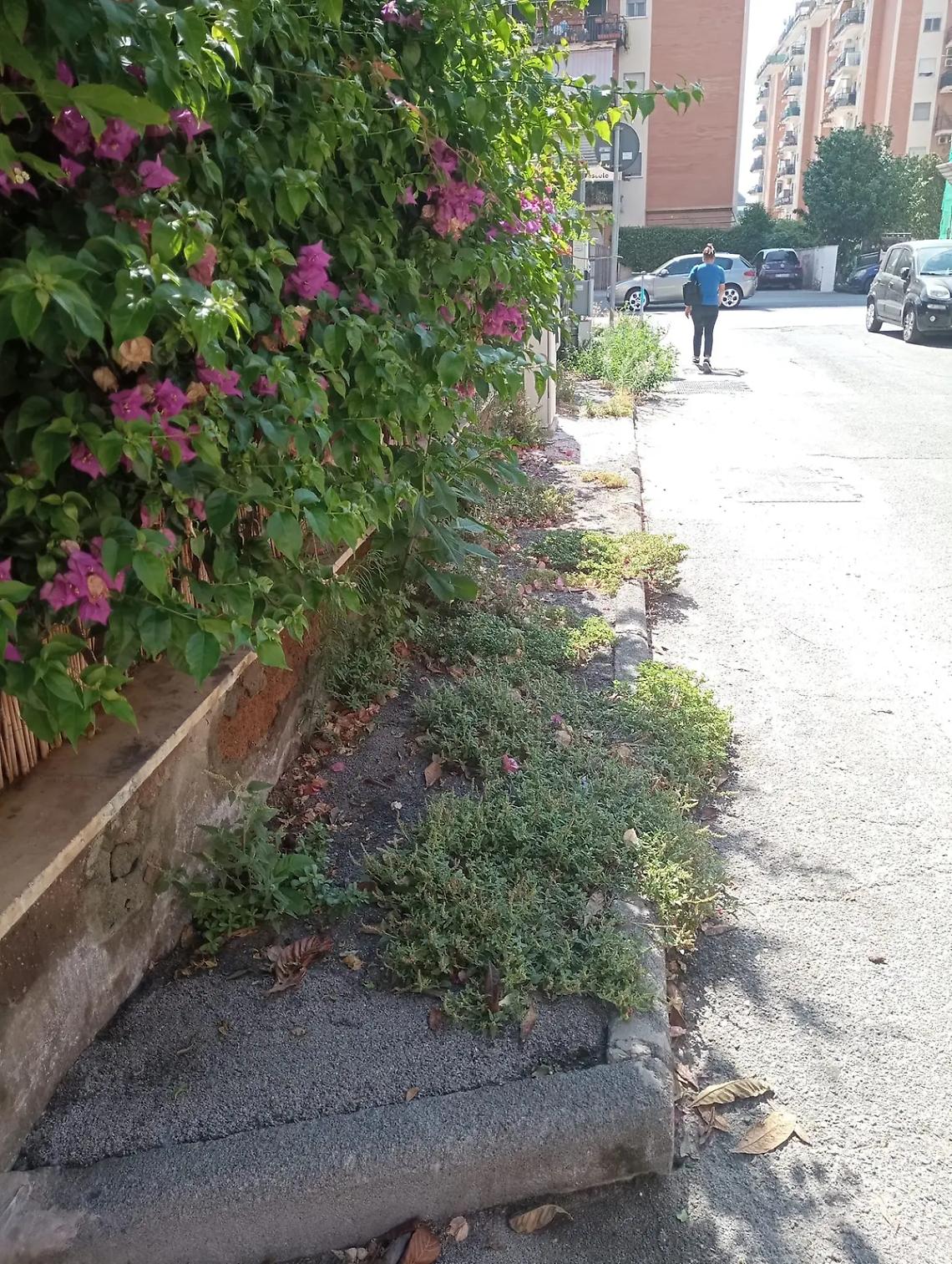 Strade sporche e marciapiedi pieni di erbacce: sos degrado