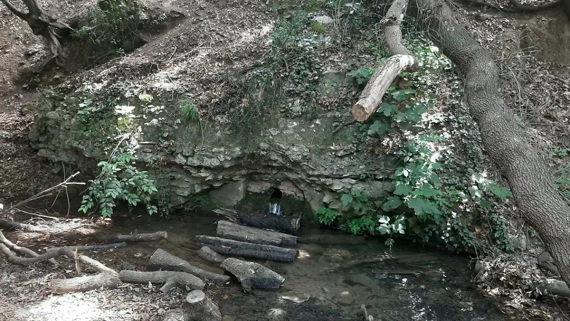 &laquo;&ldquo;Patto di collaborazione&rdquo; deludente e generico&raquo;