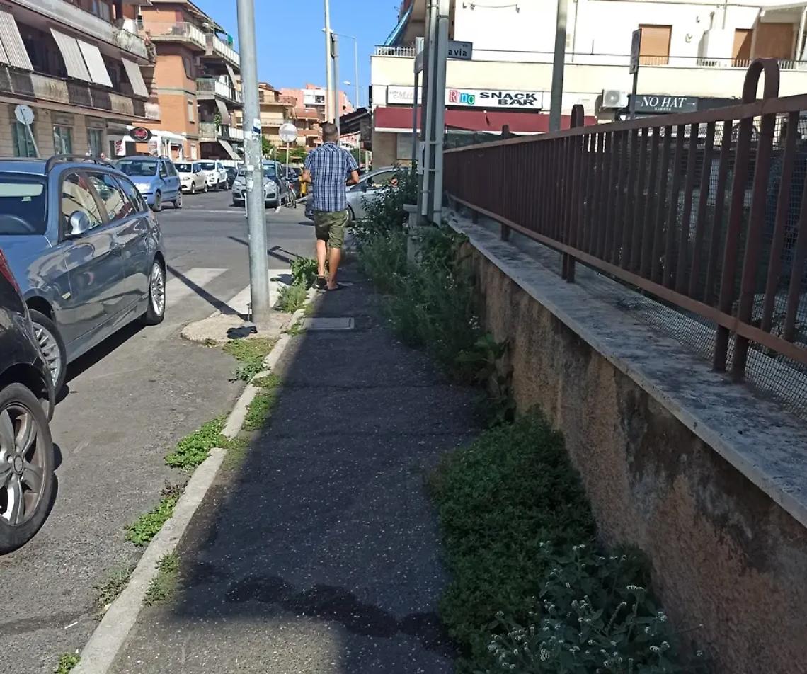 Rifiuti, erbacce e foglie: al centro sempre pi&ugrave; degrado