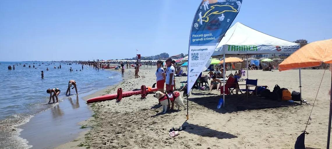 Torre Flavia: stop ai mozziconi di sigaretta in spiaggia