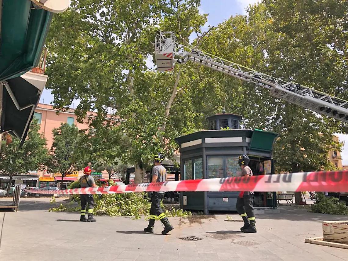 Cade un ramo, paura a largo D&rsquo;Ardia