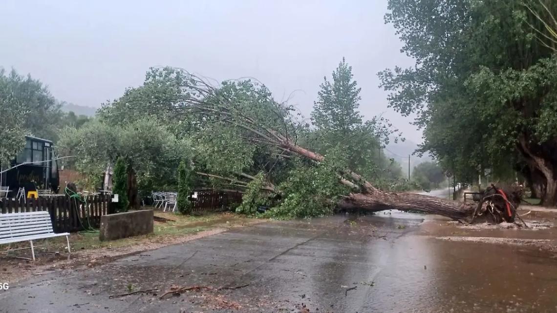 Tromba d&rsquo;aria a Montefiascone: crolla un albero e investe un ristorante