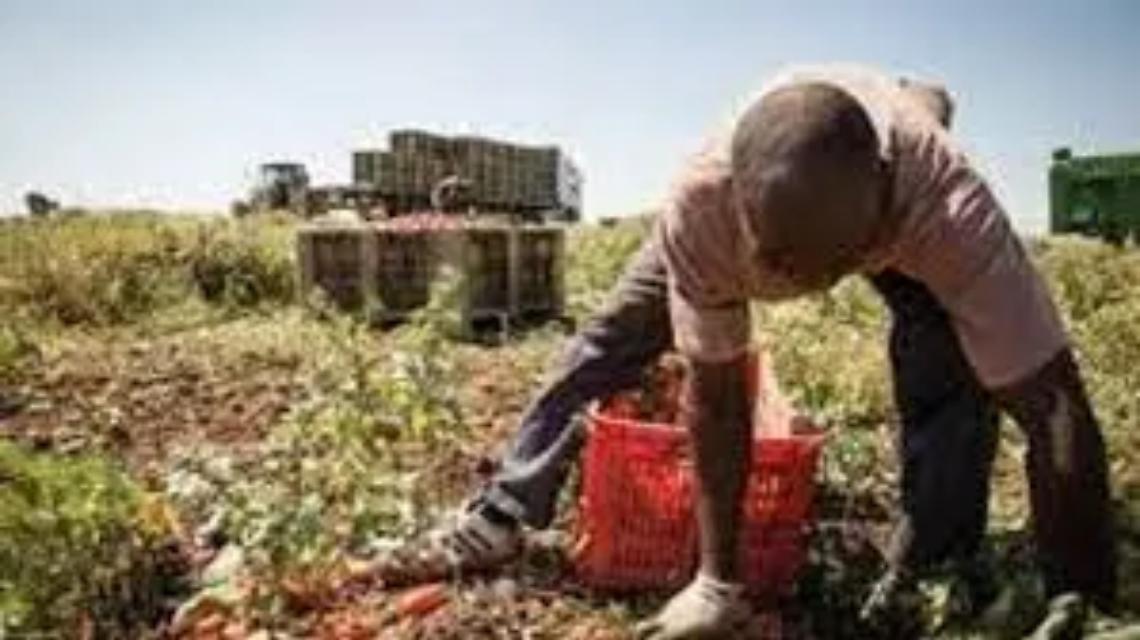 Morti sul lavoro per il caldo, &laquo;un quadro agghiacciante&raquo;