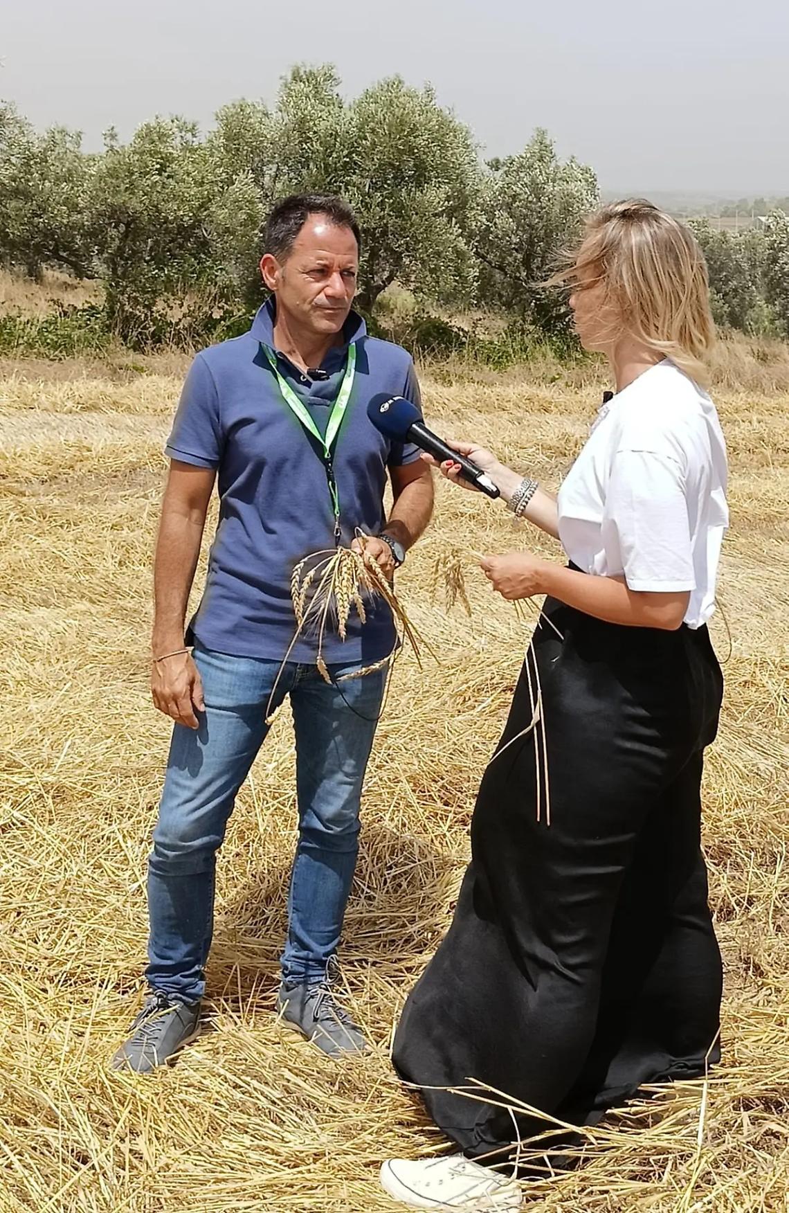 Pane sempre pi&ugrave; caro ma i guadagni per gli agricoltori diminuiscono