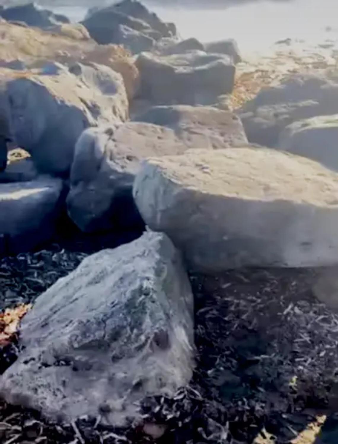 Posidonia sulle spiagge, ed &egrave; polemica