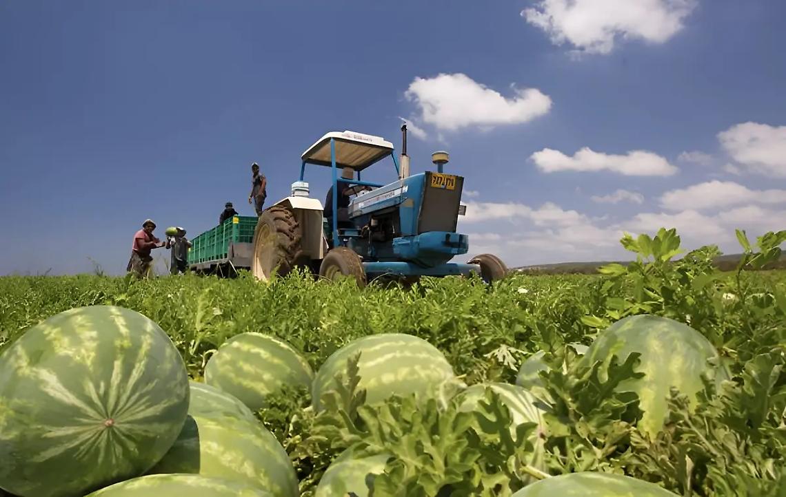 Bracciante morto a Montalto, Semi di pace Tarquinia vicina alla famiglia di Messaoudi