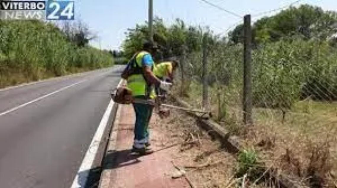 Domani lo sfalcio delle erbe infestanti