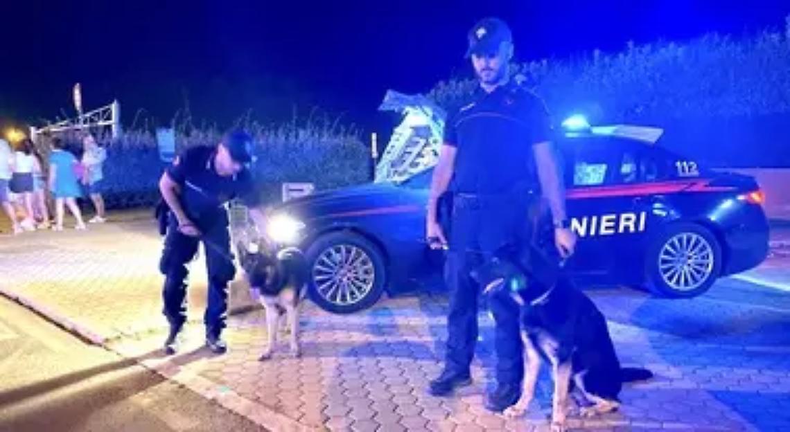 Movida Montalto, cocaina e hashish scovati dal cane antidroga Nathan