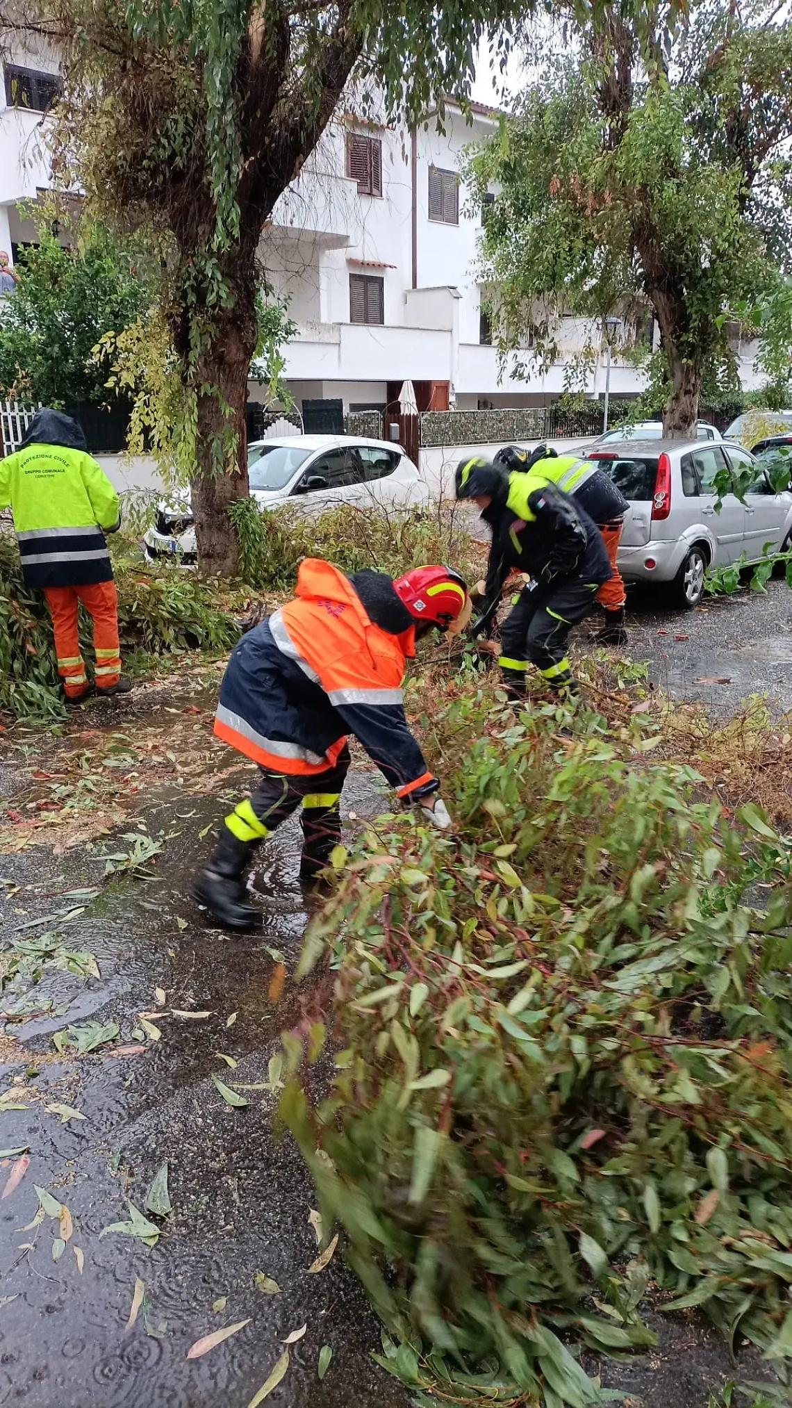 Forti raffiche di vento: caduti rami e alberi &ndash; LE FOTO