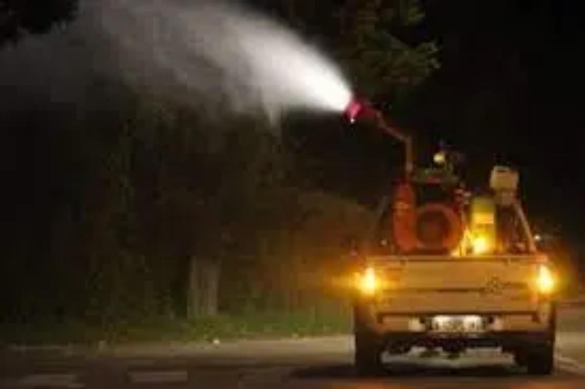 Marted&igrave; la disinfestazione contro gli insetti alati