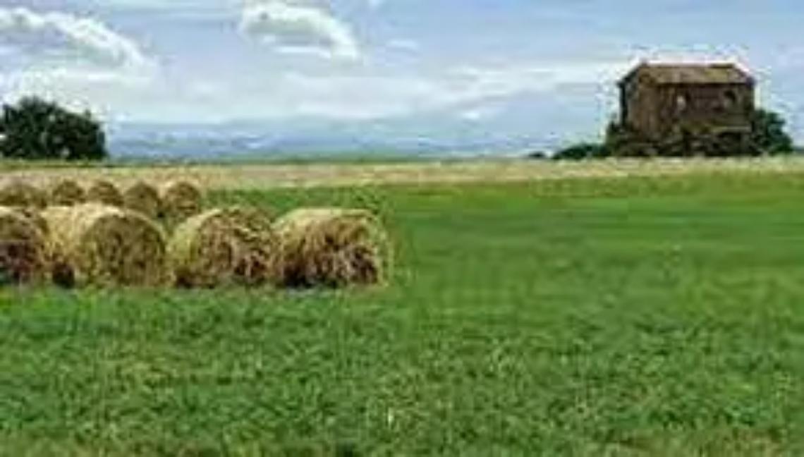 Online sul portale del Biodistretto la nuova sezione &ldquo;Esperienze&rdquo;