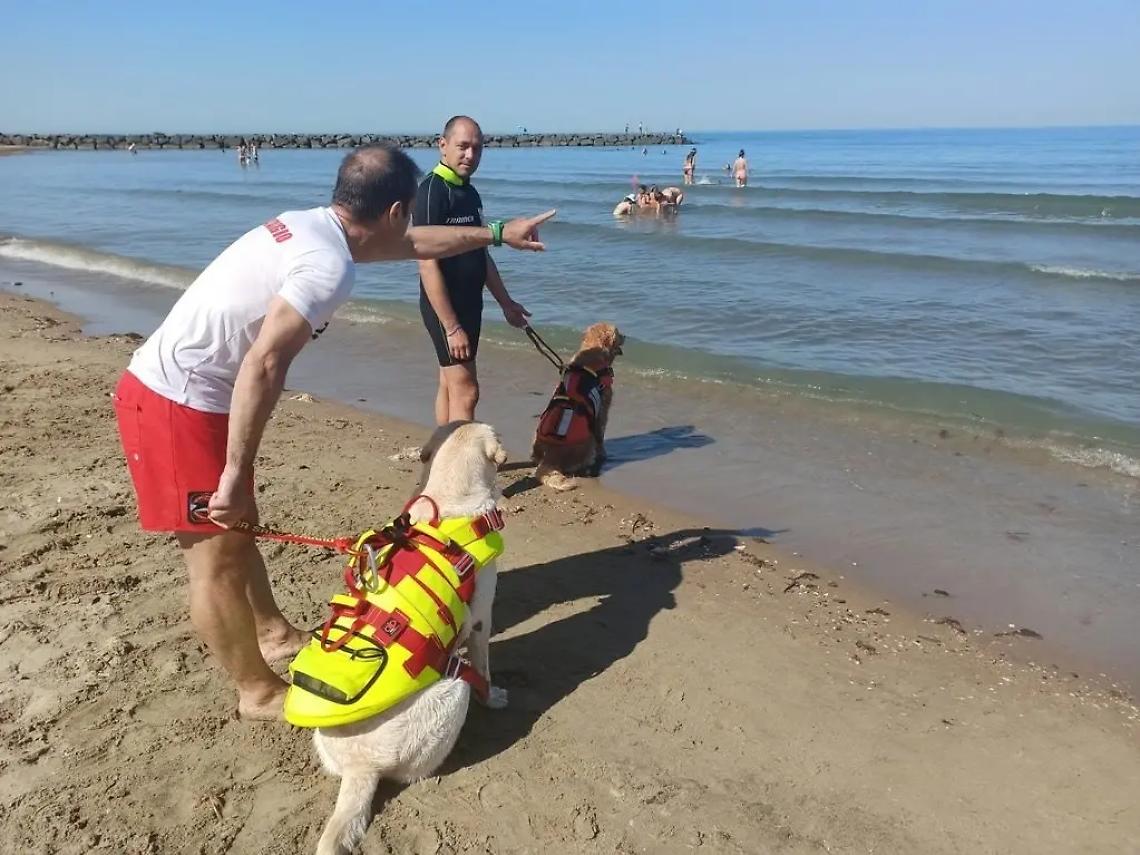 Non riesce a tornare a riva a causa della risacca: salvato 47enne