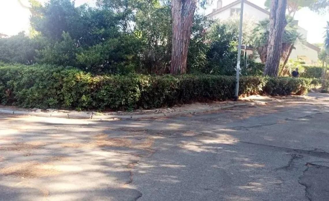 &laquo;Piazza Garda, manutenzione del verde inesistente: pedoni in pericolo&raquo;