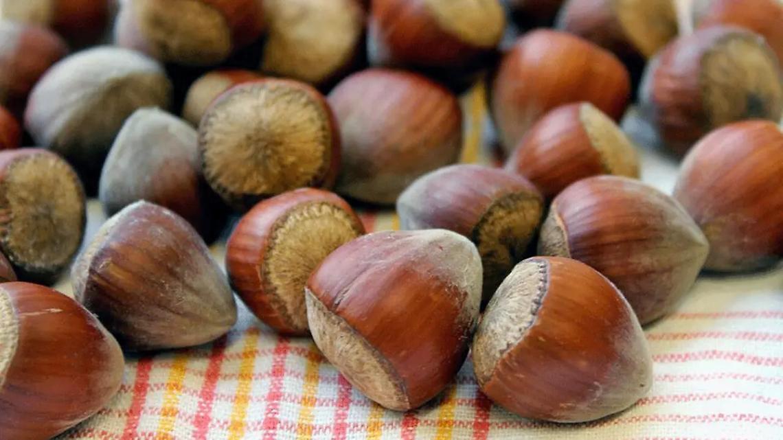 Loaker entra in Coopernocciole