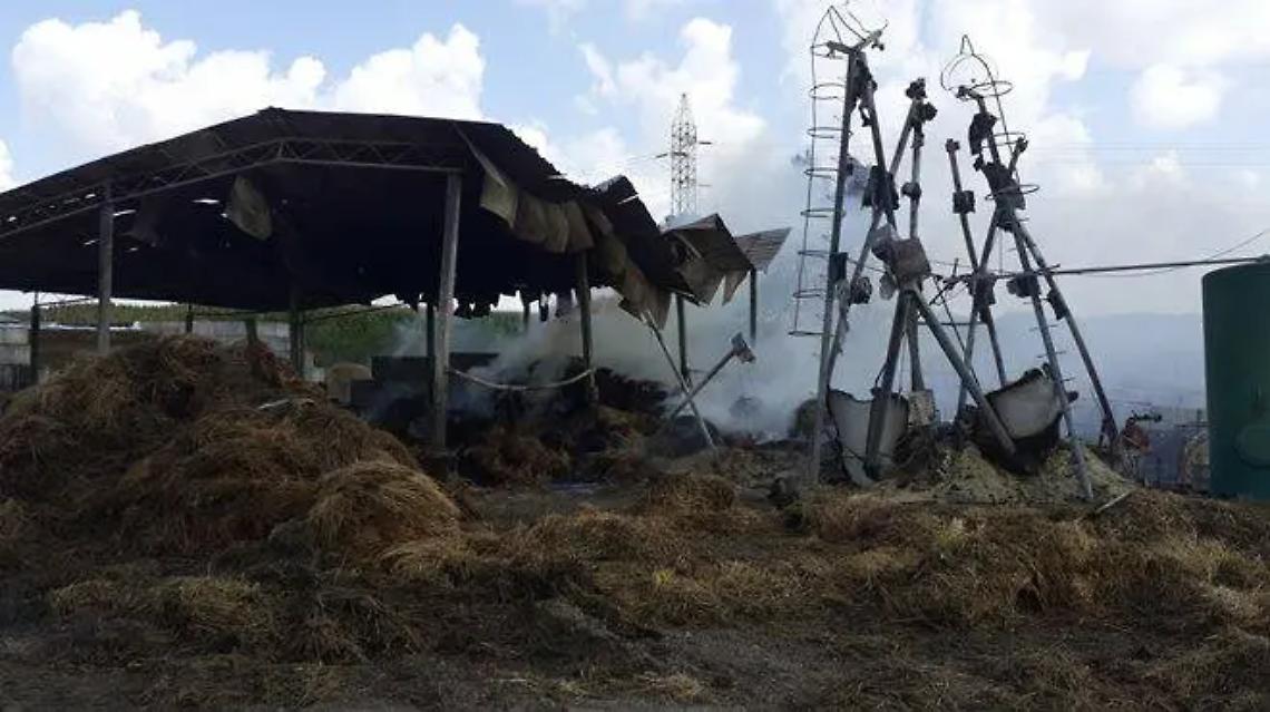 Incendio alla Fattoria Salvucci: la Farmacia Salvo D&rsquo;Acquisto di Palidoro lancia l&rsquo;iniziativa solidale &ldquo;Adotta una balla di fieno&rdquo;