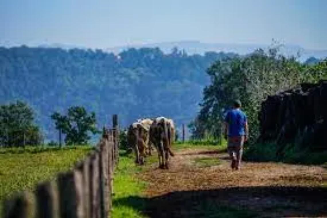 Il Biodistretto compie dieci anni
