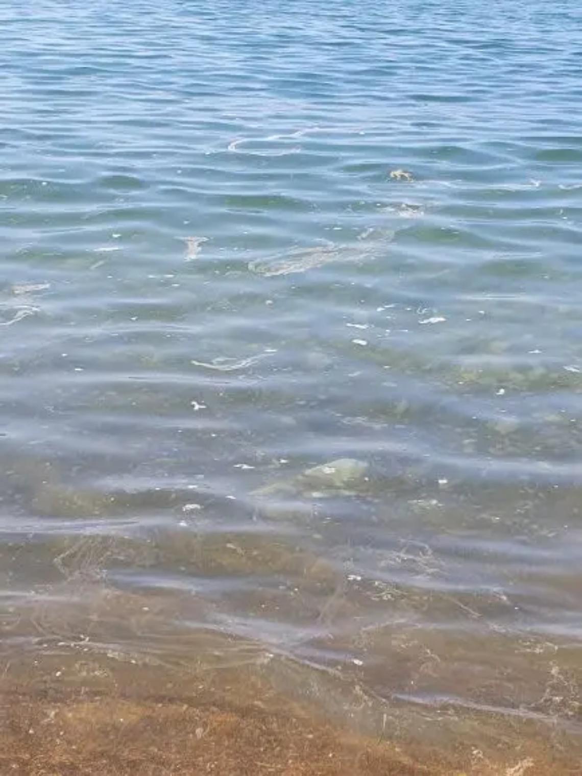 &laquo;Liquami nel mare di Santa Severa&raquo;, la coalizione Futuro lancia l&rsquo;allarme