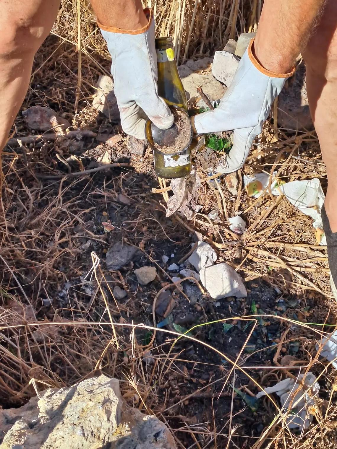 Vetri e rifiuti: pineta della Frasca nel degrado