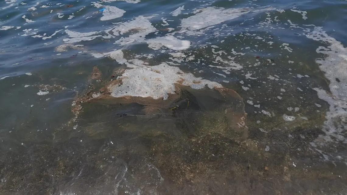 Chiazze in mare, scattano i controlli