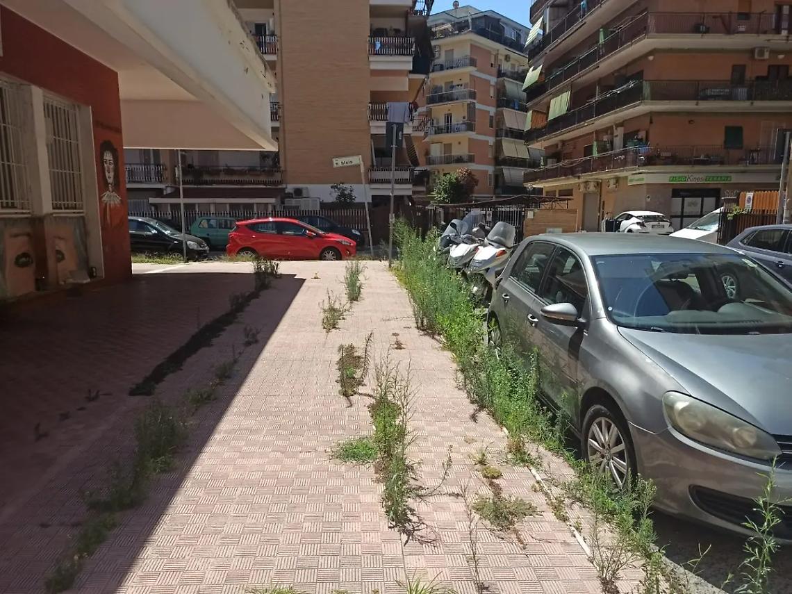 Strade e marciapiedi una giungla