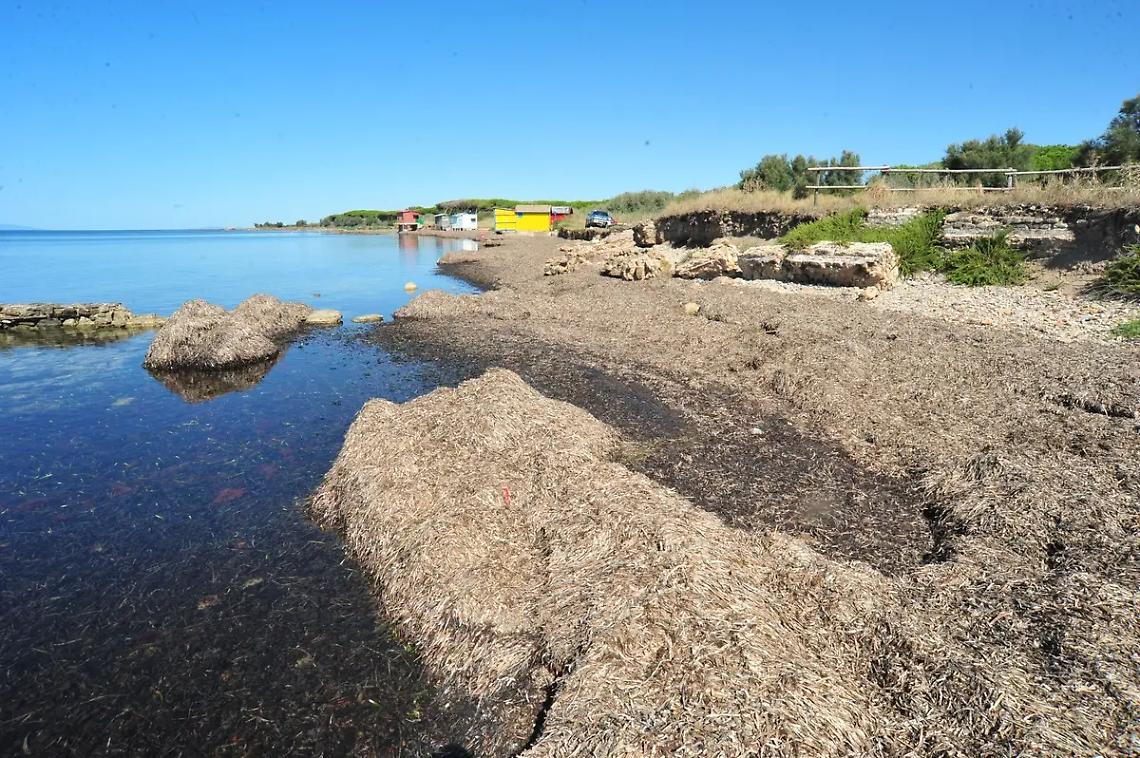 Frasca, il restyling &egrave; lontano