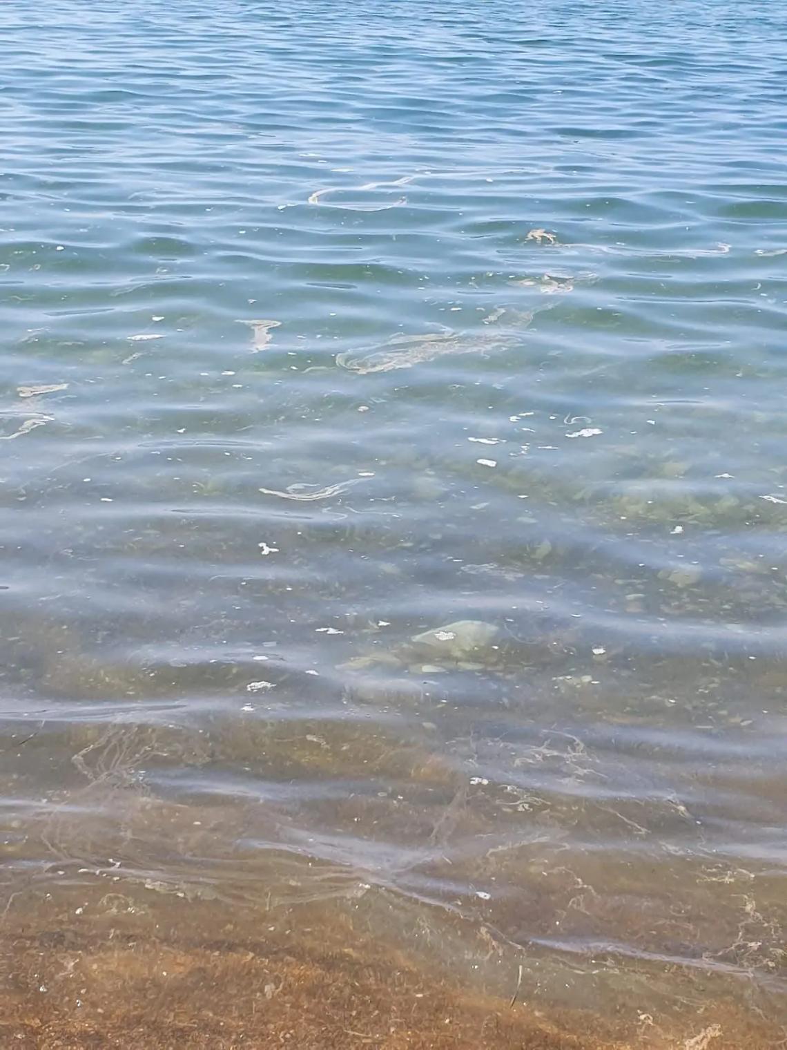 &laquo;Serve una seria politica che sistemi il sistema fognario e delle acque&raquo;