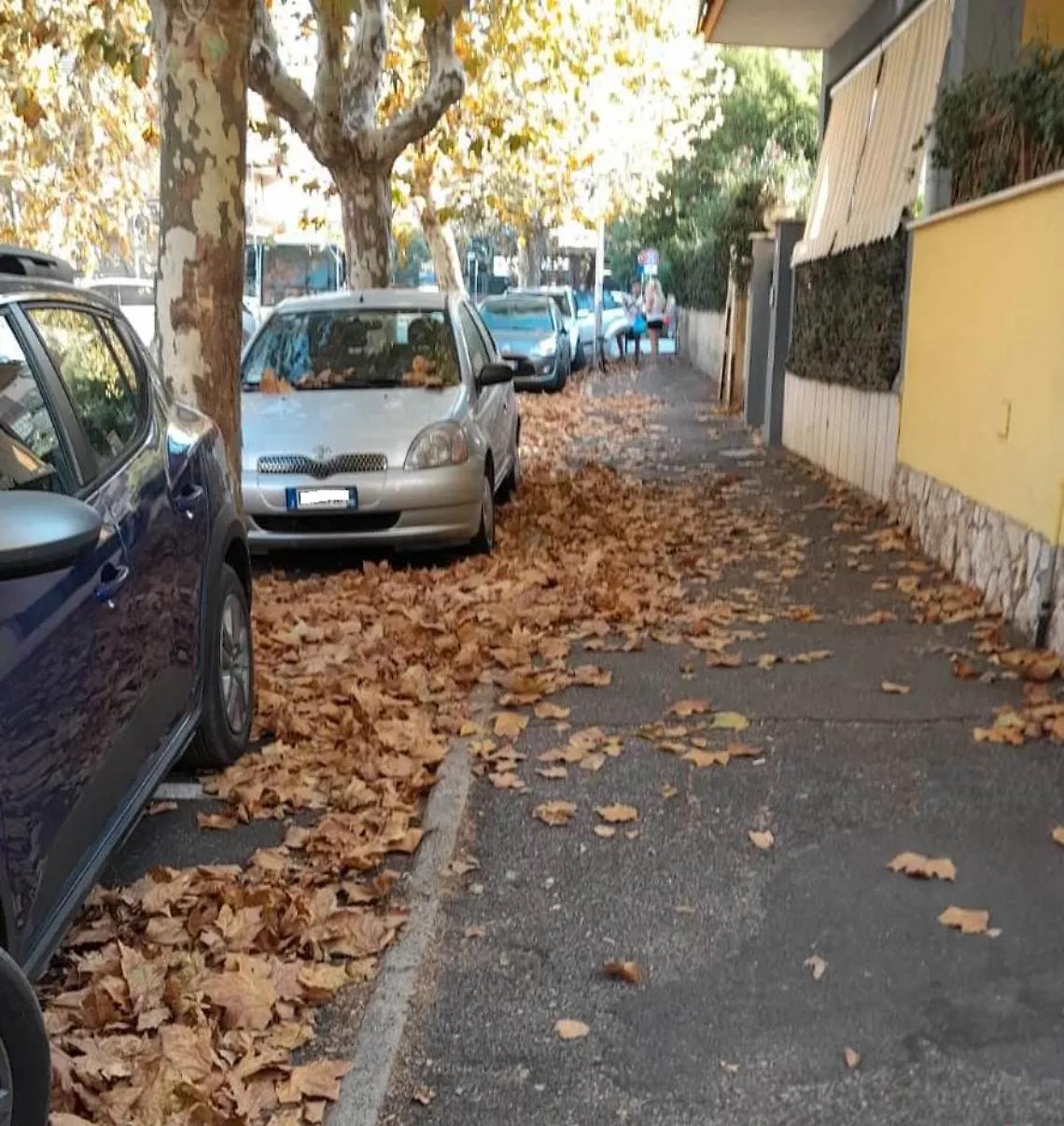 Degrado ovunque: residenti in rivolta