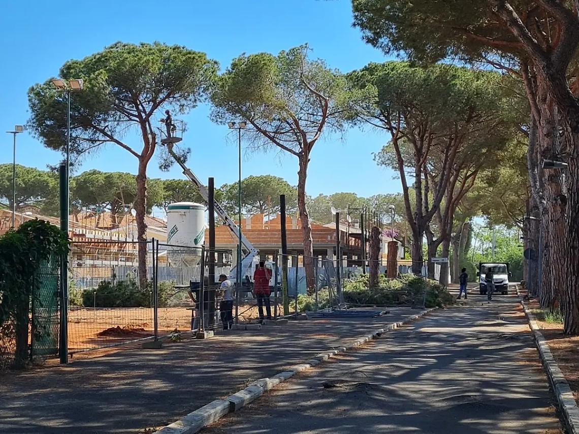 Abbattimento dei pini al Lido, Assolidi dice &ldquo;no&rdquo;