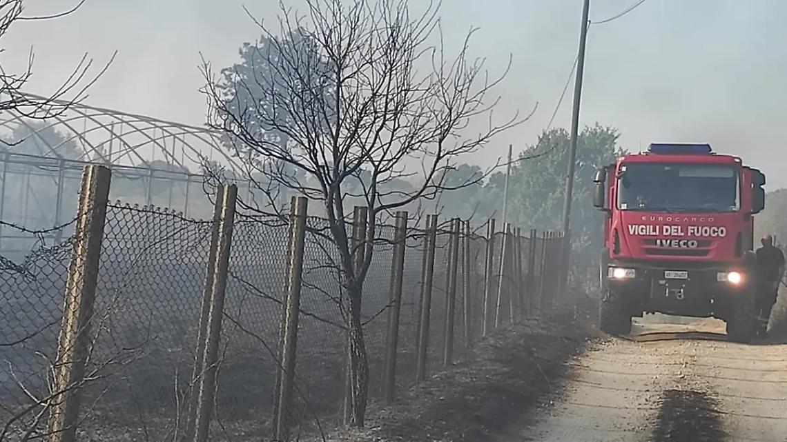 Vetralla: in fumo 4 ettari di uliveto e sterpaglie