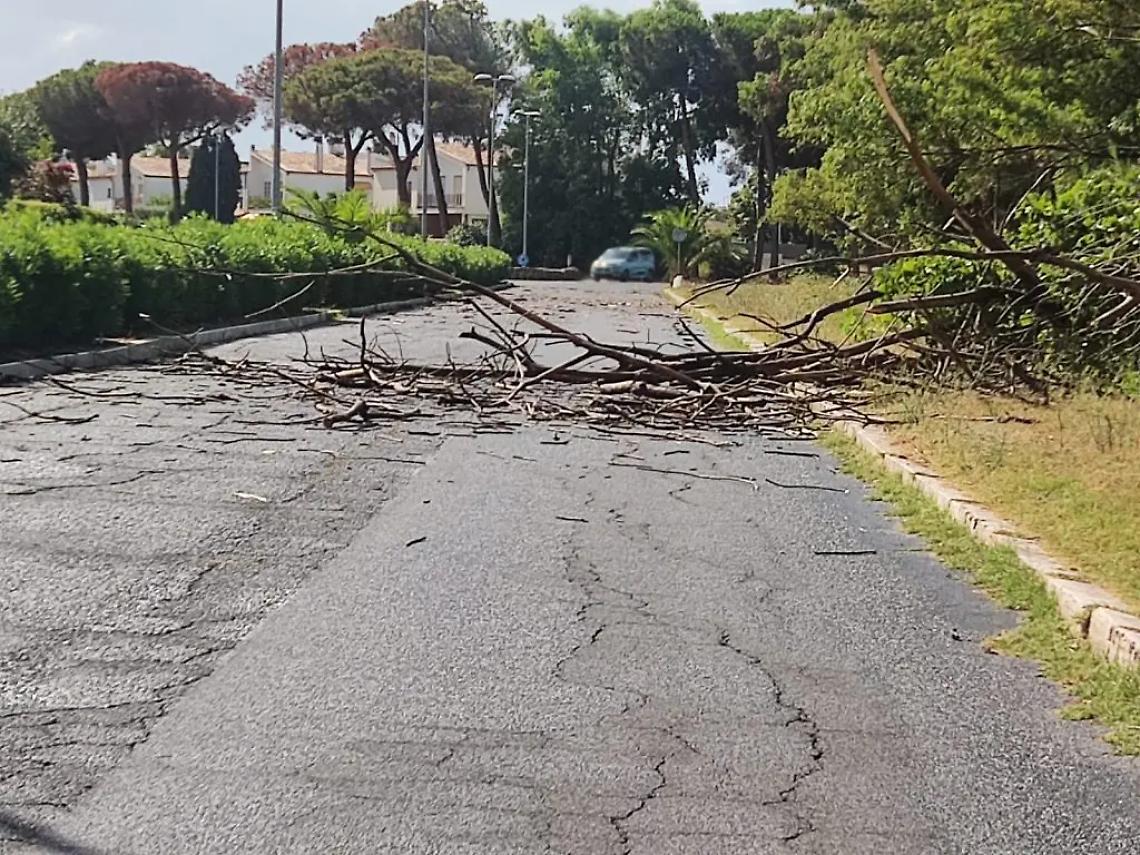 Raffiche di vento: cadono alberi e pali della luce
