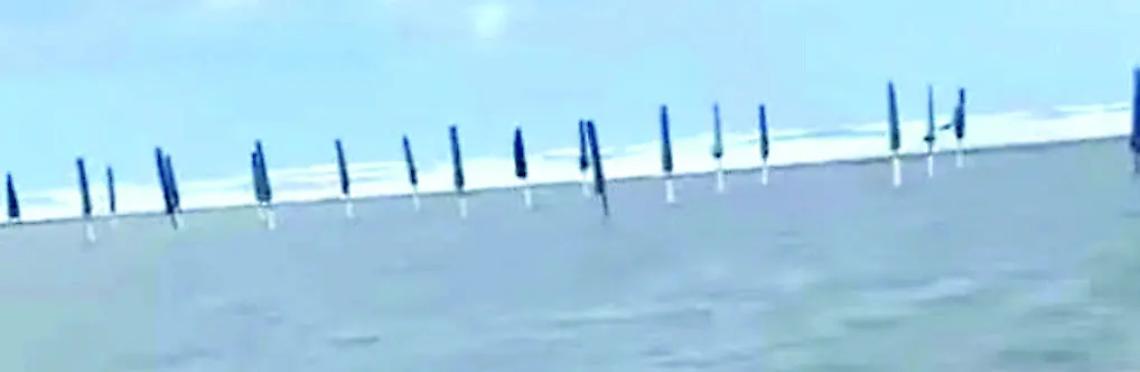 Il maltempo flagella il litorale: forti venti, mareggiate, alberi caduti e stabilimenti sott&rsquo;acqua