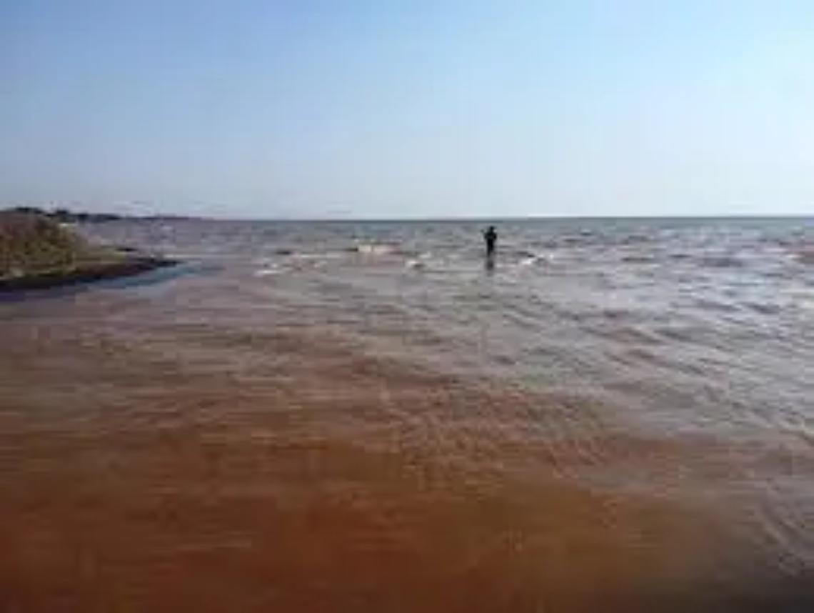 &laquo;Tanti i problemi che assillano il fiume Marta&raquo;