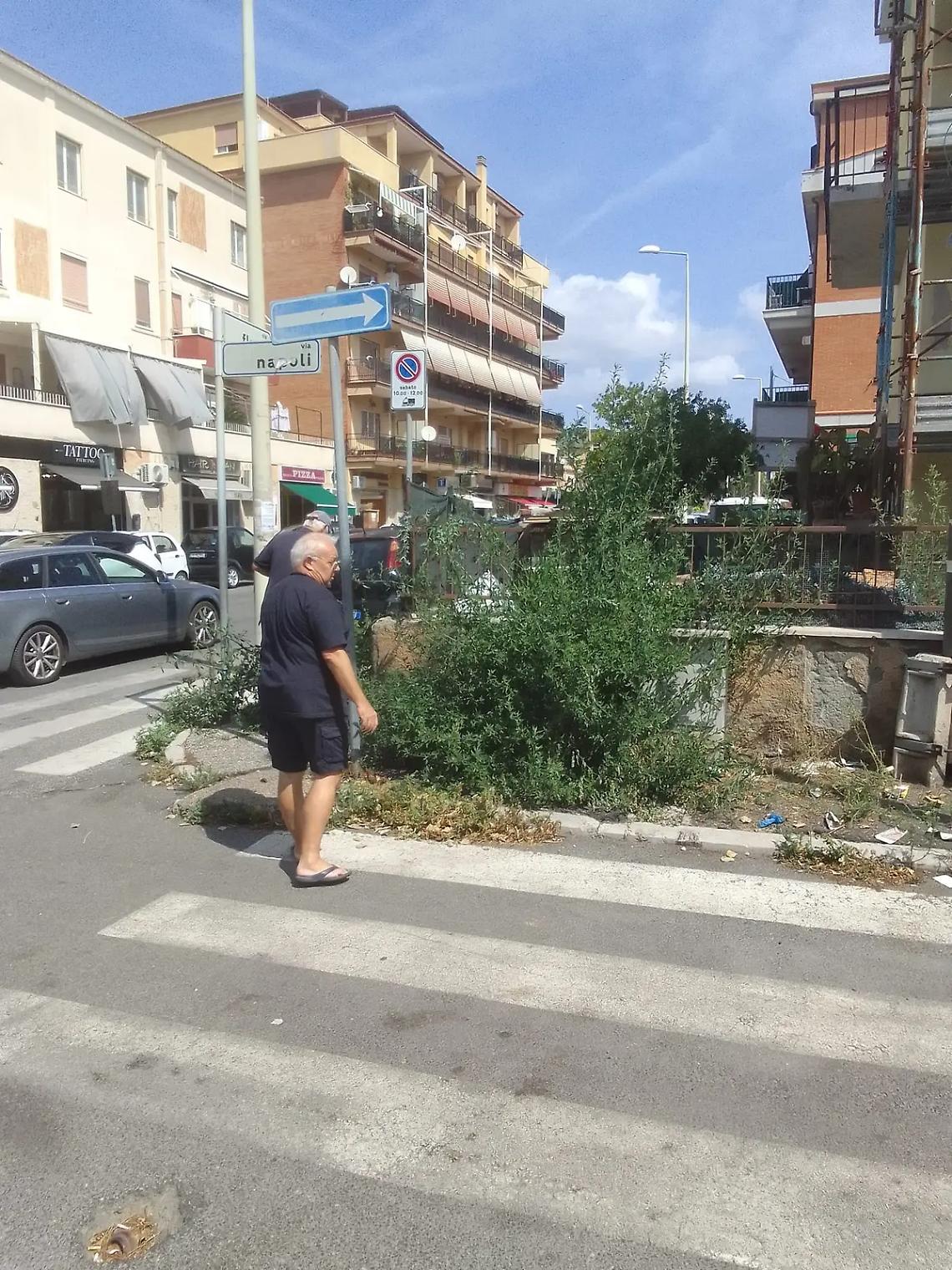 Giungla sui marciapiedi, il Comune annuncia la maxi pulizia