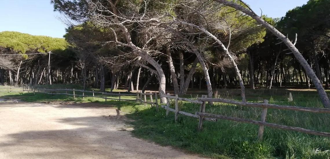 Arsial, Frasca: &laquo;Un vanto per l&rsquo;intera comunit&agrave; regionale&raquo;