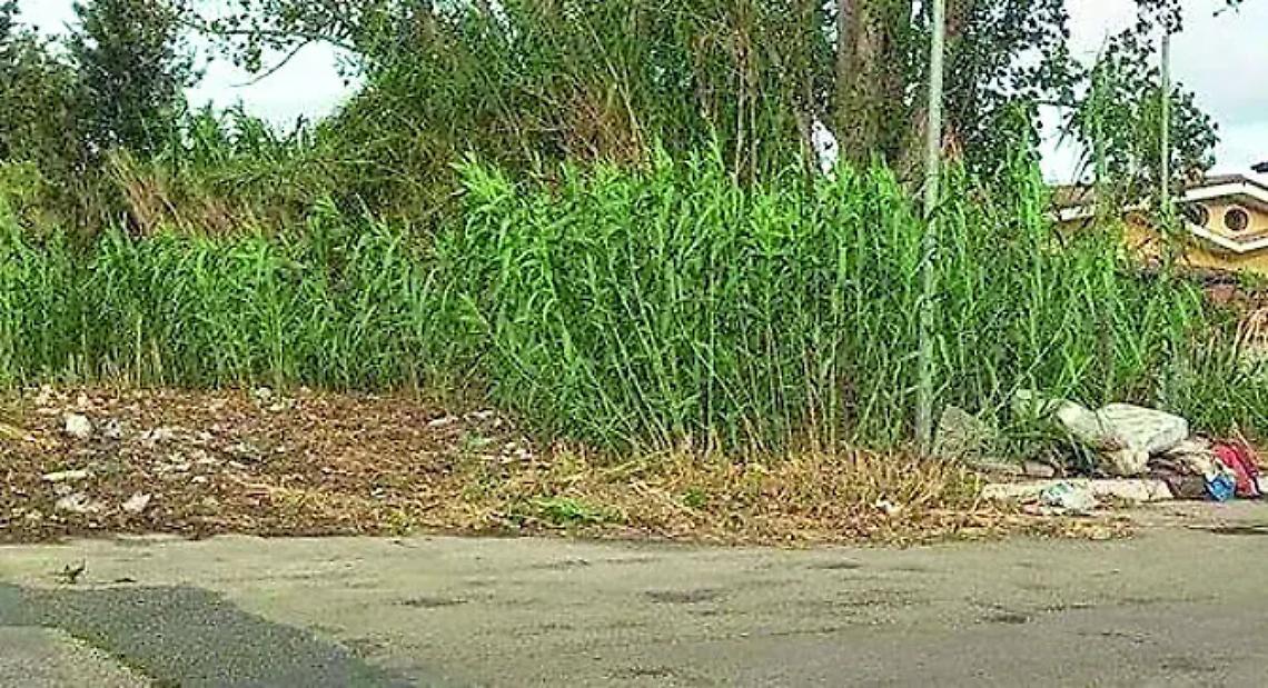 Incivilt&agrave; senza fine: &laquo;Rifiuti abbandonati in via Bignami. Incognita drone&raquo;