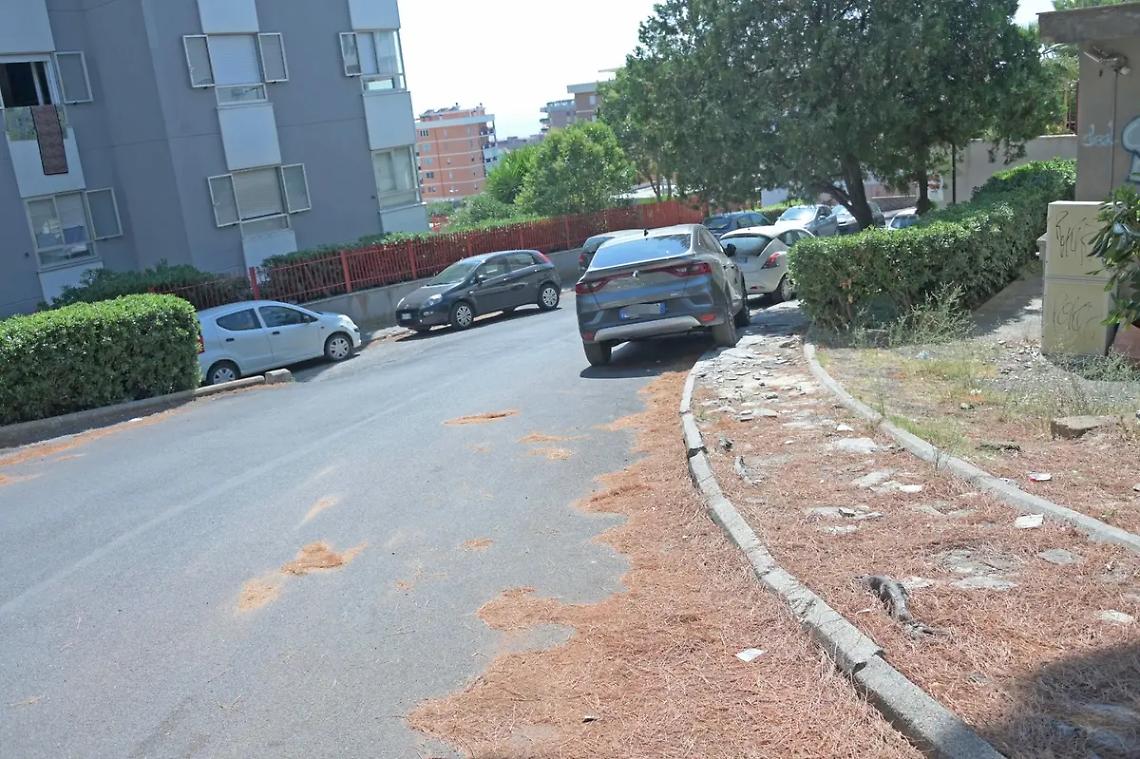 Agosto, degrado ti conosco