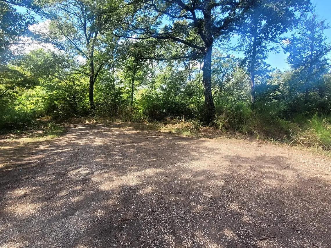 Strada Piangoli, ripulito il bosco