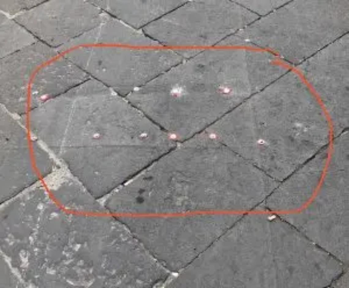 &laquo;Pericolose le viti a Corso Roma&raquo;