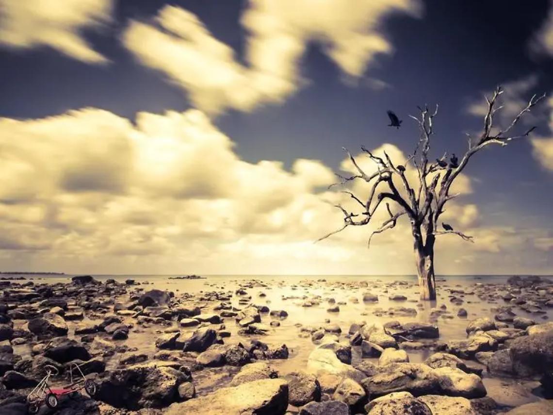 Crisi climatica, la guida sui diritti dell'infanzia