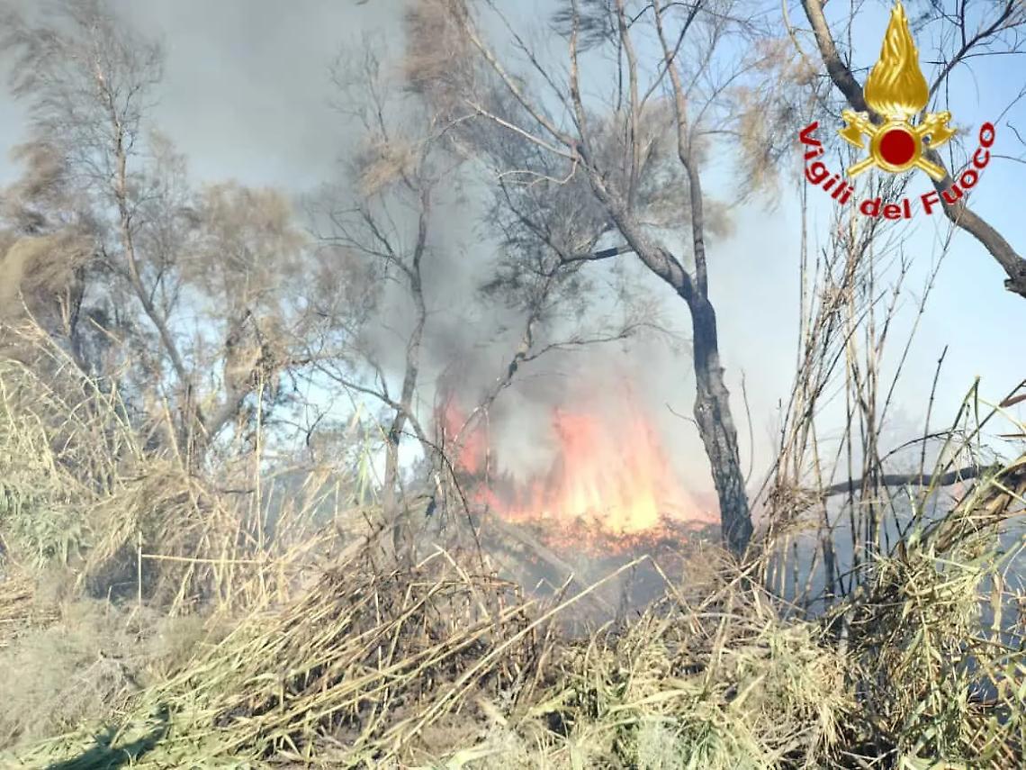 Alba di paura a Passoscuro: un incendio di sterpaglie minaccia le case