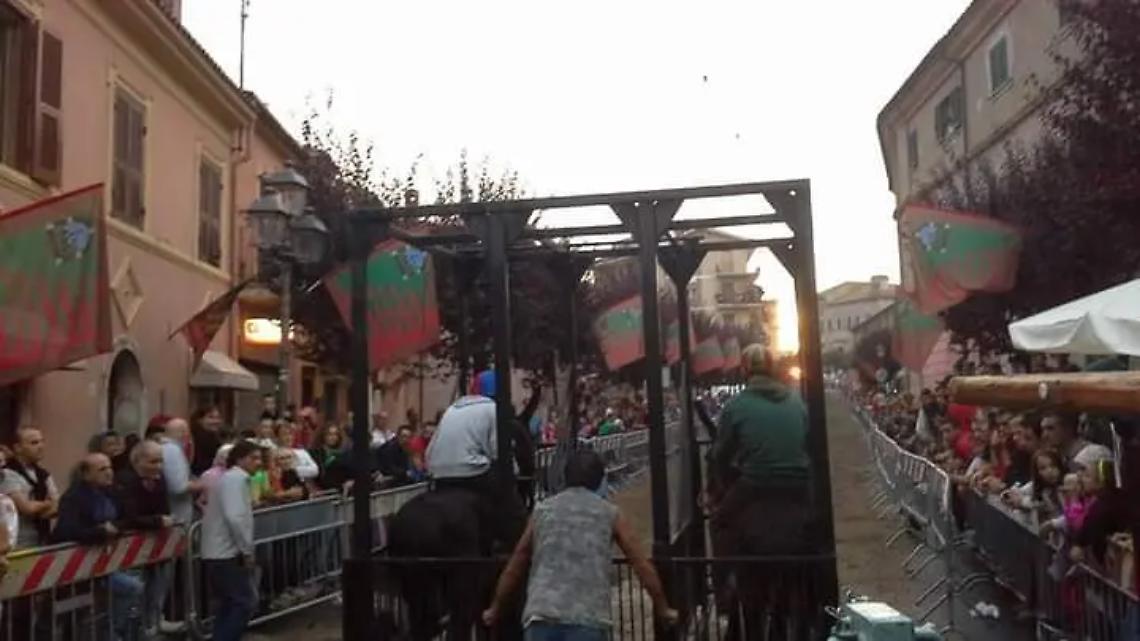 Corsa dei somari in linea: tutto pronto ad Allumiere