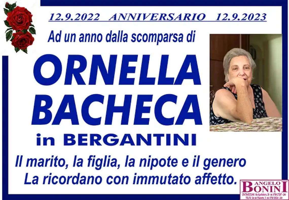 ORNELLA BACHECA in BERGANTINI
