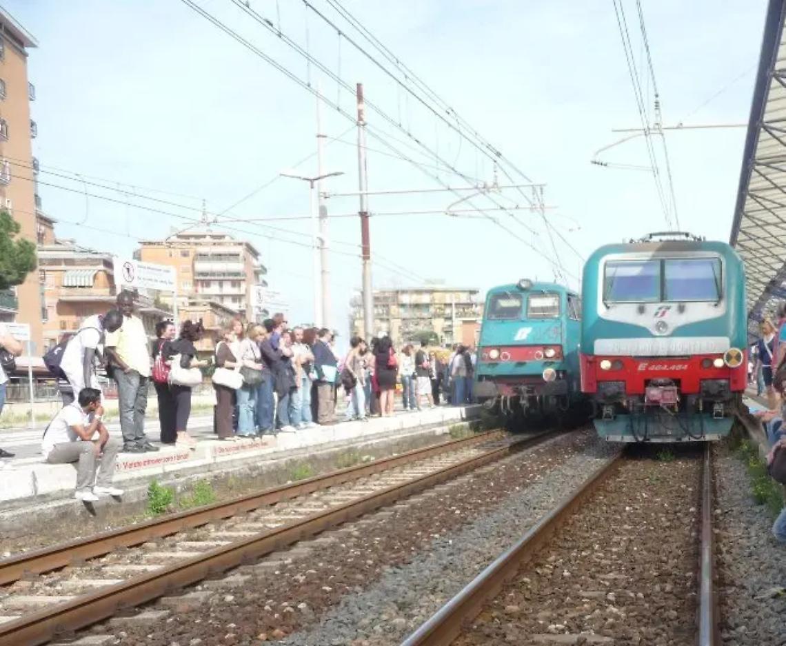 Animali sui binari: linea ferroviaria interrotta