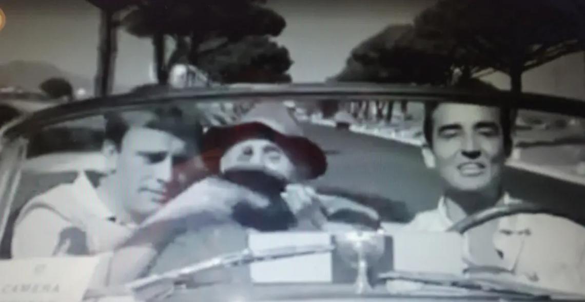 Pini da abbattere, sono quelli de Il Sorpasso