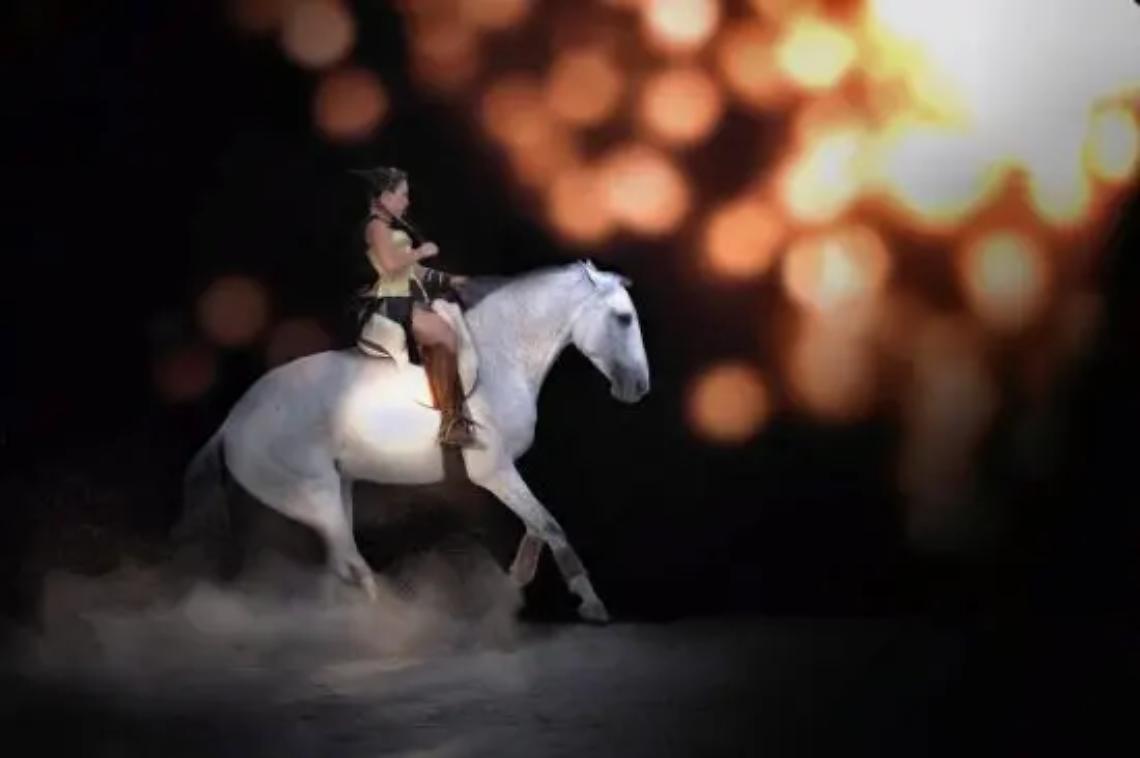 Ai nastri di partenza la mostra nazionale del cavallo maremmano