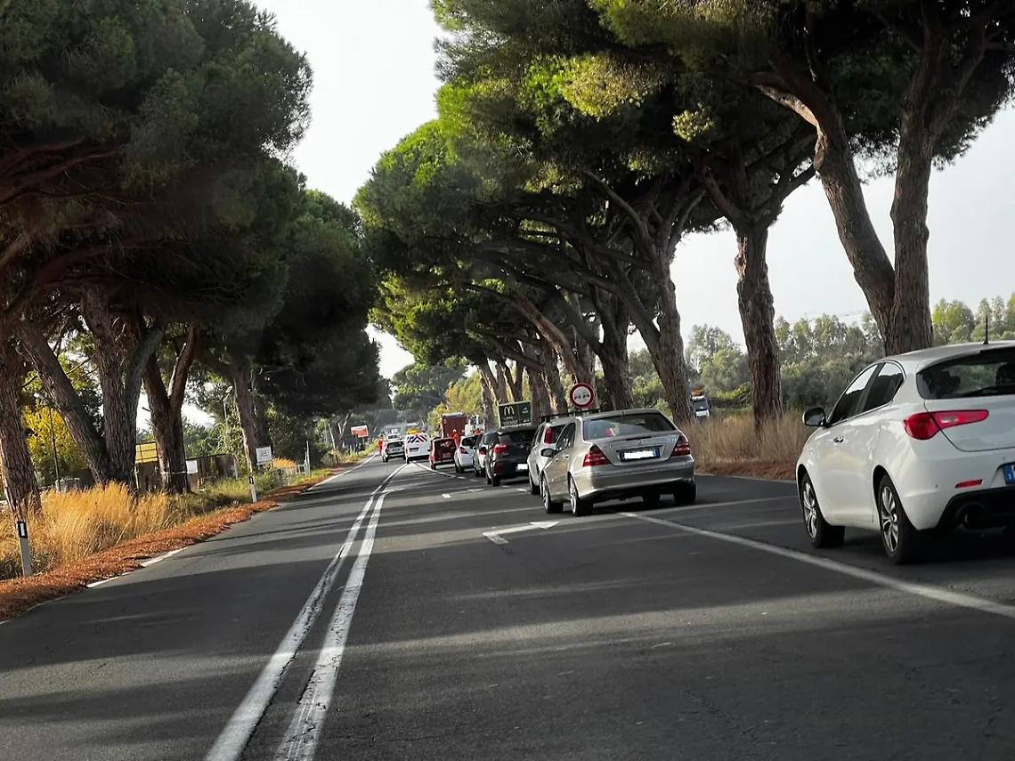 Al via la rimozione dei pini. Rallentamenti sull&rsquo;Aurelia