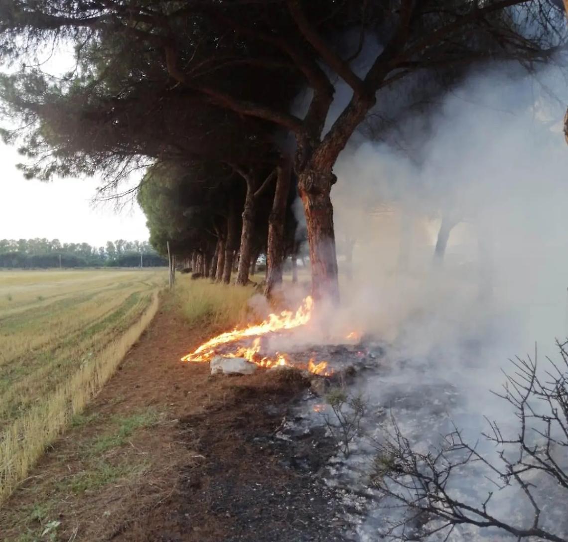 Ennesimo incendio, va a fuoco la pineta in via di Zambra