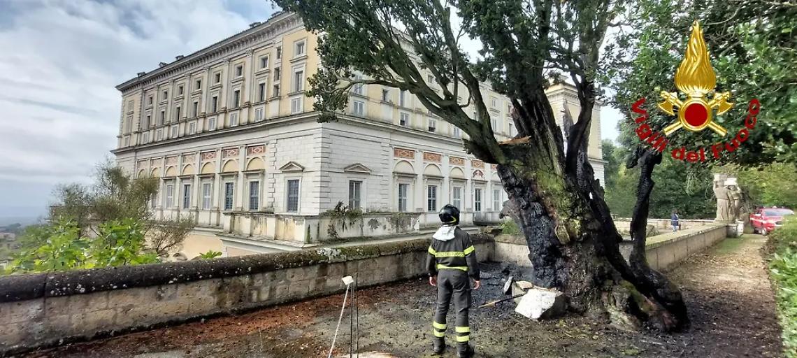 Maltempo nella Tuscia: fulmine cade su albero monumentale di Palazzo Farnese