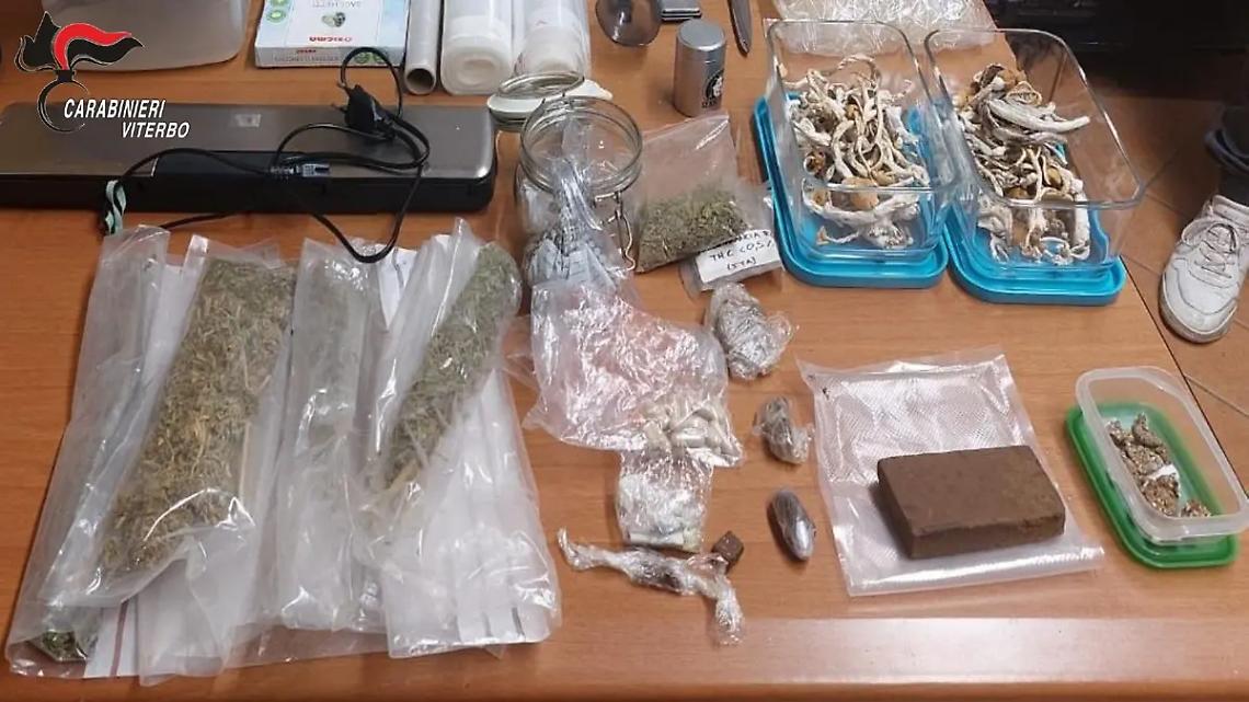 Viterbo, nasconde in casa ketamina, funghi allucinogeni e hashish