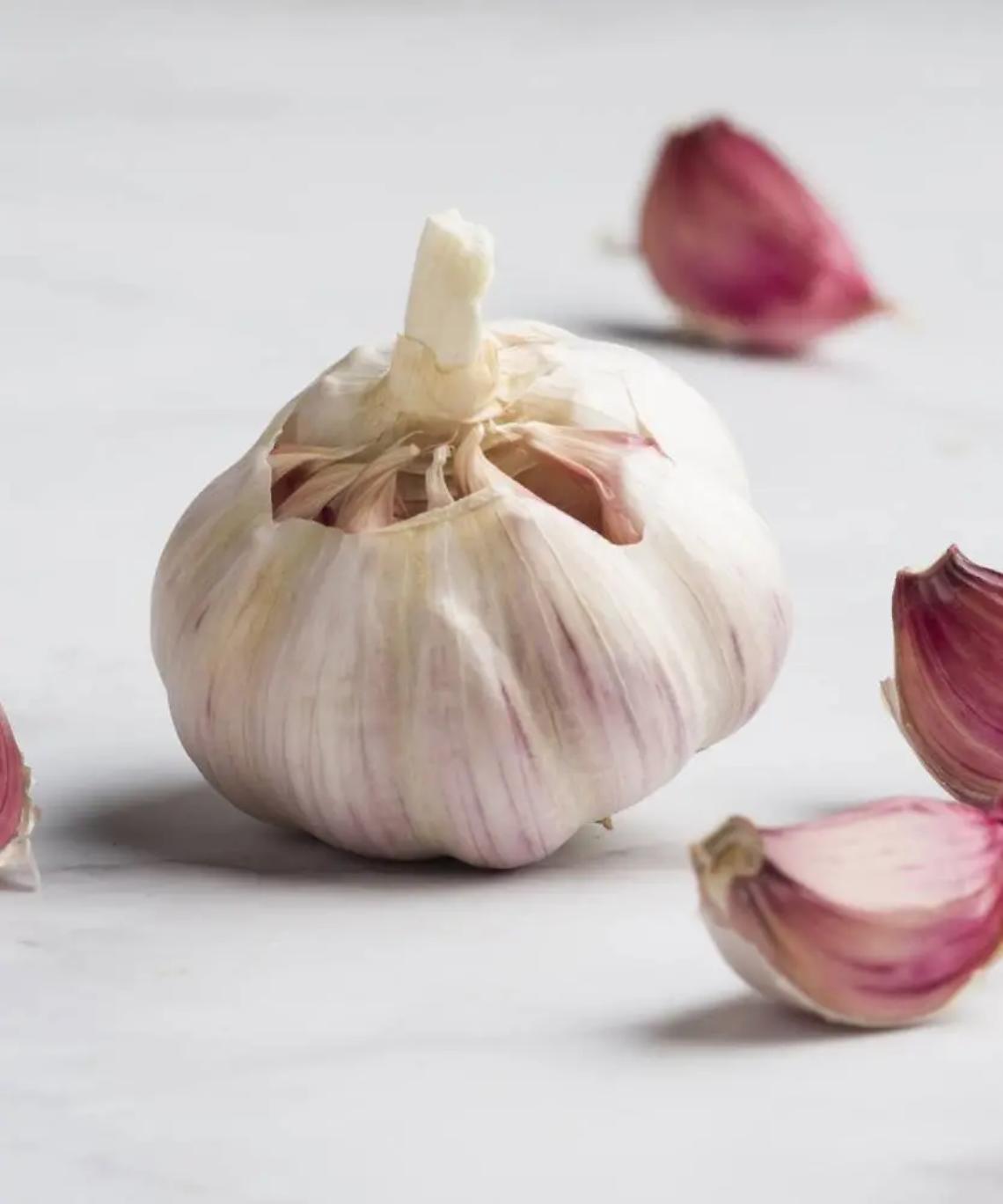 Il festival dell&rsquo;Aglio rosso ai nastri di partenza